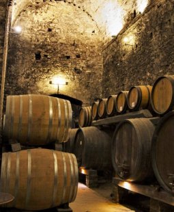 Private Tour and Tasting in the Vino Nobile di Montepulciano Wine Producing Area