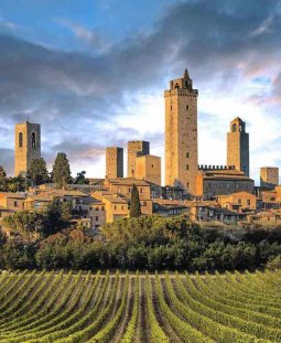 Tour and tasting in San Gimignano (Vernaccia Wine Zone)